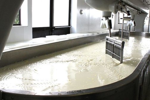 Phòng sạch sản xuất phô mai